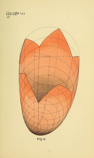 Illustration for article titled These 19th-century diagrams were one man's attempt to illustrate human consciousness